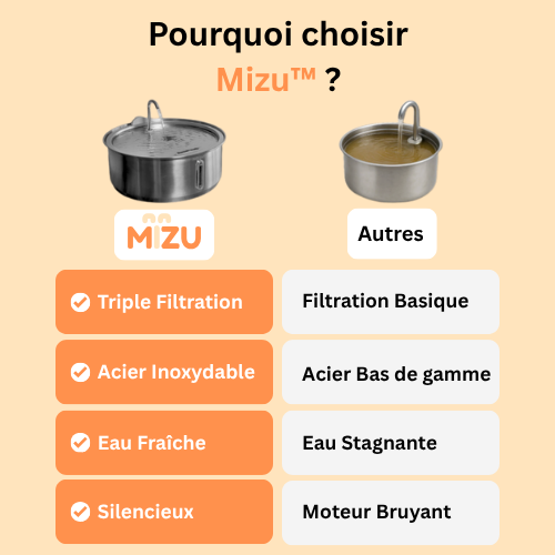 La Fontaine Mizu ™