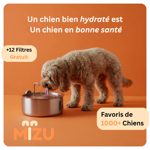 La Fontaine Mizu ™