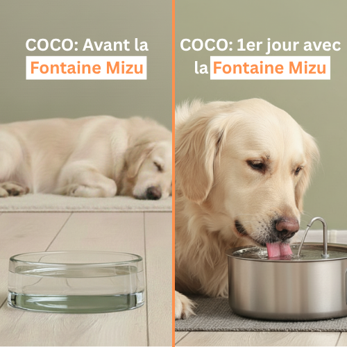La Fontaine Mizu ™