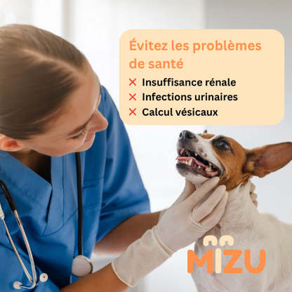 La Fontaine Mizu ™